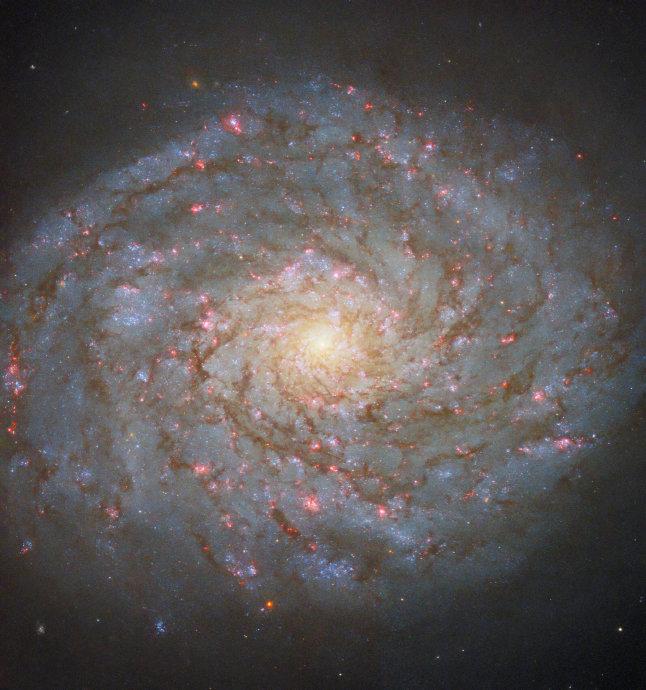 哈勃望远镜公布新图片～～ 这是旋涡星系ngc 4689,位于后发座方向