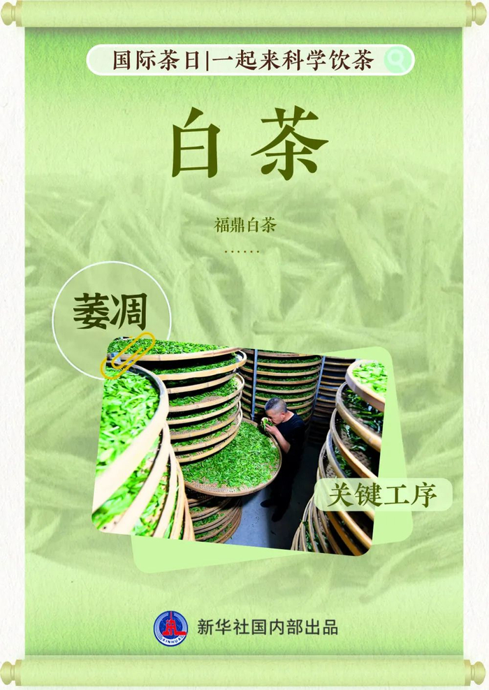 茶经|福鼎|绿茶_新浪新闻