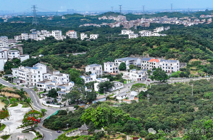近年来,高州依托根子镇柏桥村,桥头村,分界镇杏花村等重点镇村,高标准