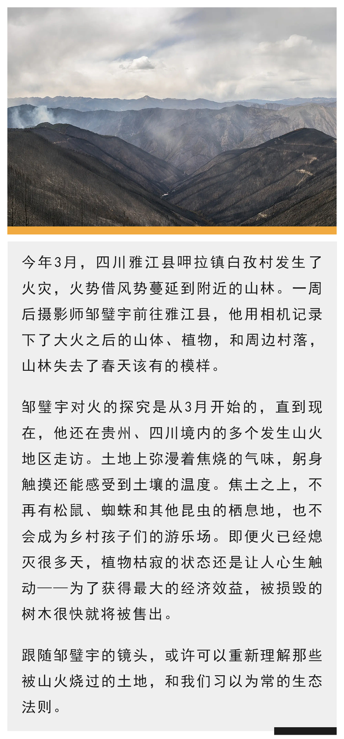 图,文|邹璧宇编辑 |吕萌3月15日,成都天空被一层黄色笼罩着.