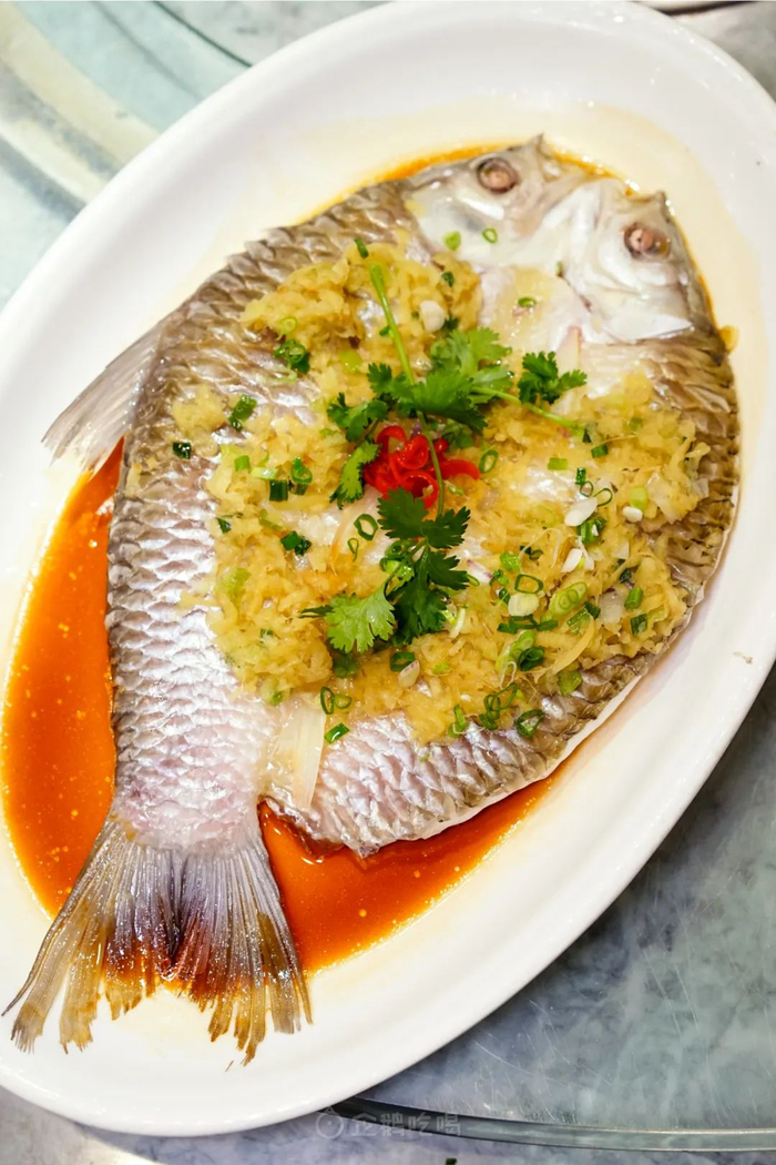 广州市|鱼_新浪新闻