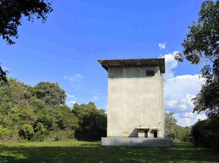 加里曼丹岛的一块碑,千亿燕窝市场的无尽想象力