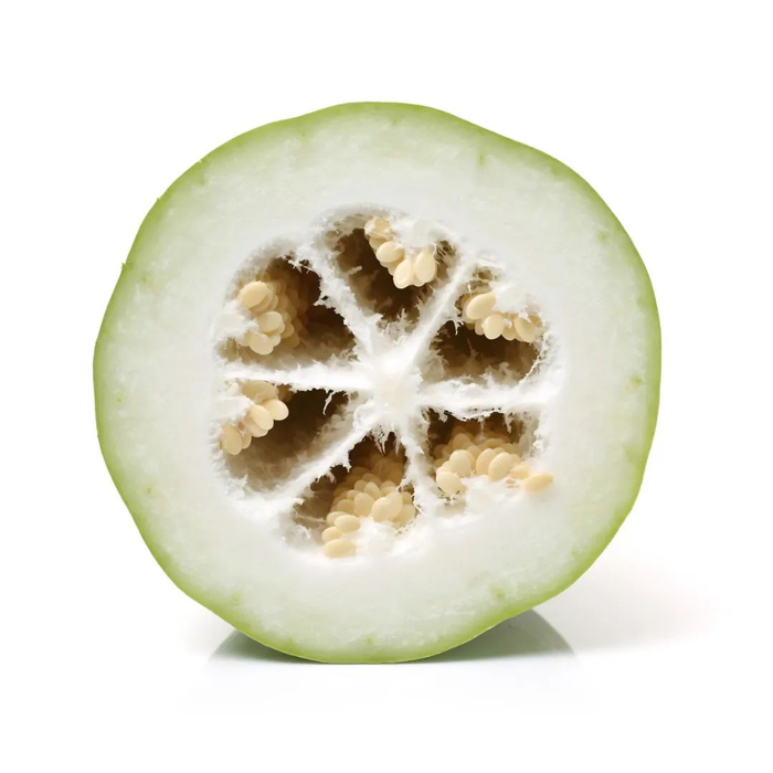 冬瓜皮|减肥_新浪新闻