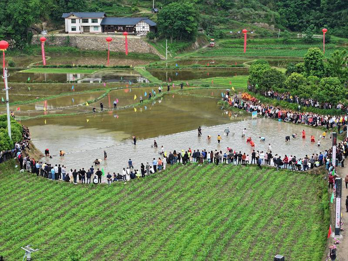 开阳县冯三镇开展"开秧门"农耕文化节活动