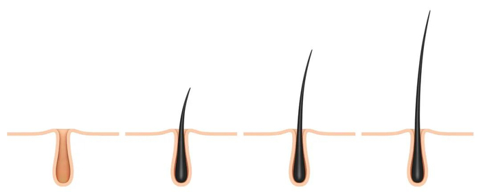 图库版权图片，转载使用可能引发版权纠纷