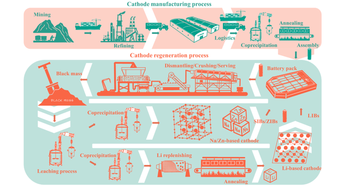 （来源：Nature Sustainability）