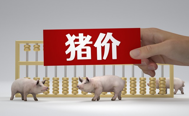 "火箭猪"起飞,涨至10元!5月23日生猪价格行情