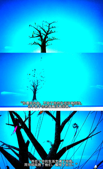 "自由就是你的生活充满了艰辛,而你却战胜了它"