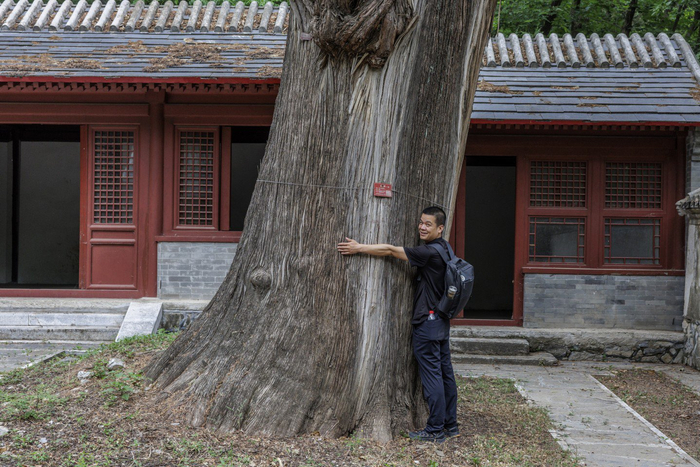 珍稀植物频现,他们在上方山迎接更多"新成员"