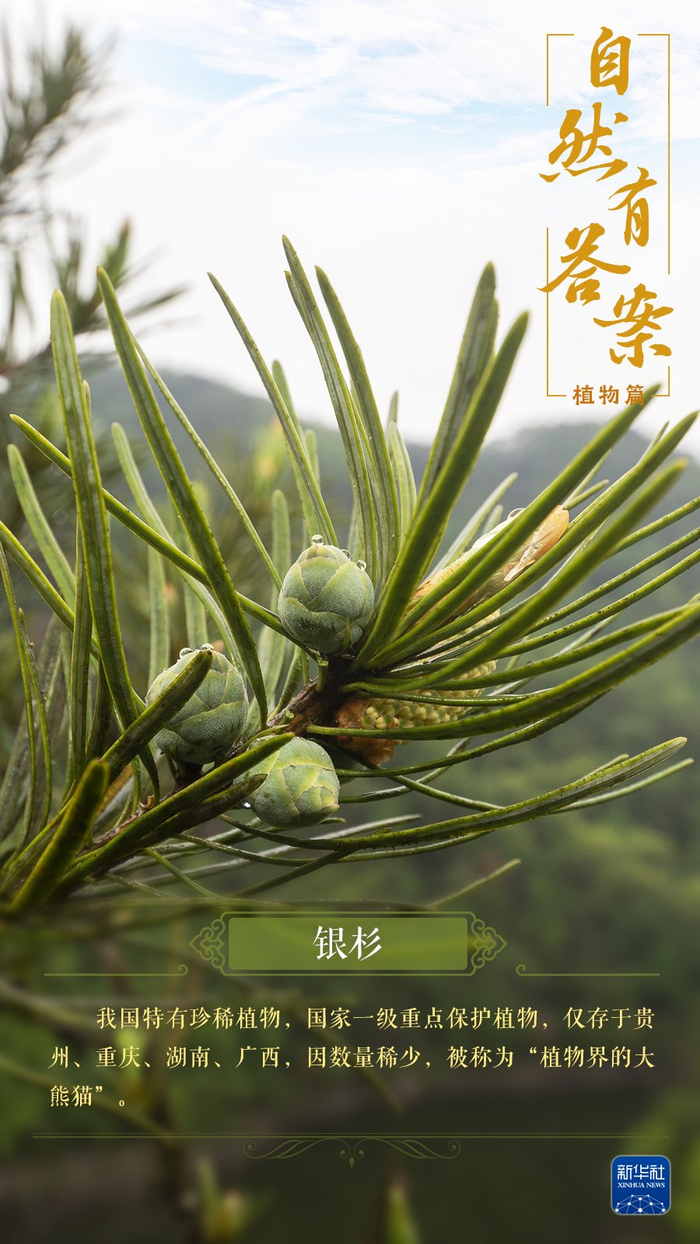 终审:冯璇,康丽琳策划/设计:马发展