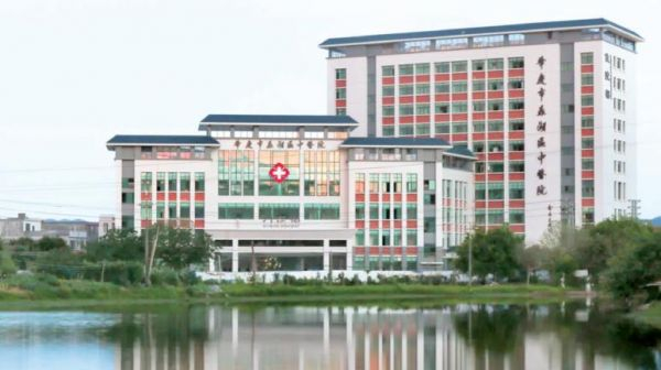 鼎湖区多措并举促中医药传承创新