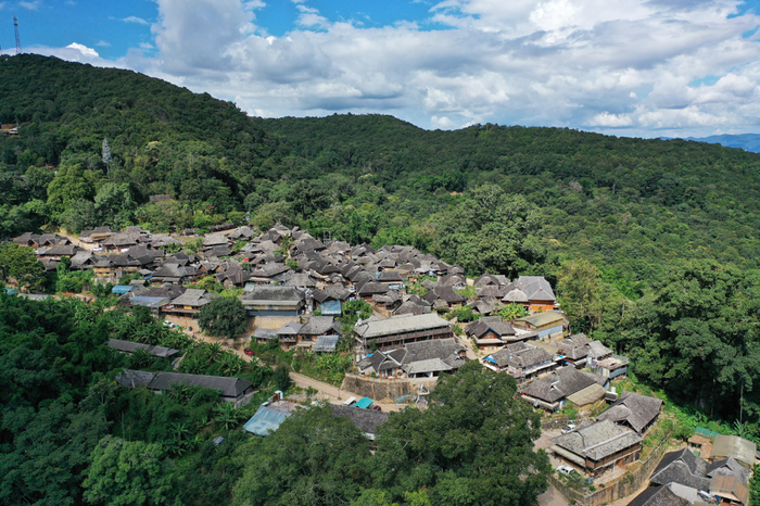 一片云南"树叶"何以"茗"动天下?