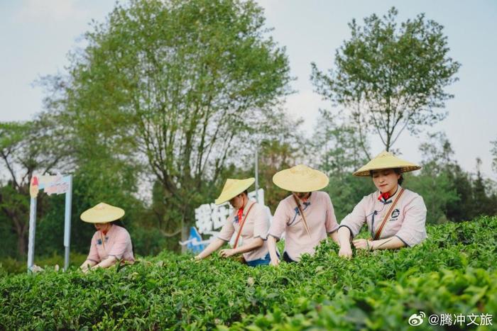 「现在去云南腾冲穿什么衣服最好」_现在去云南腾冲穿什么衣服最合适