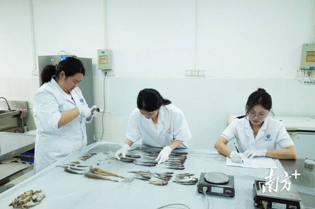 白海豚和它的朋友们 | 国际生物多样性日