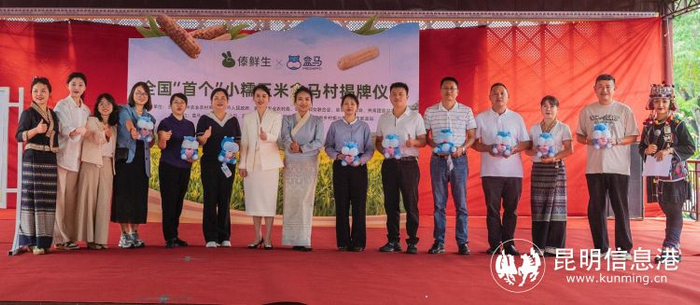 小糯玉米盒马村在西双版纳落地 带动500余户村民增收