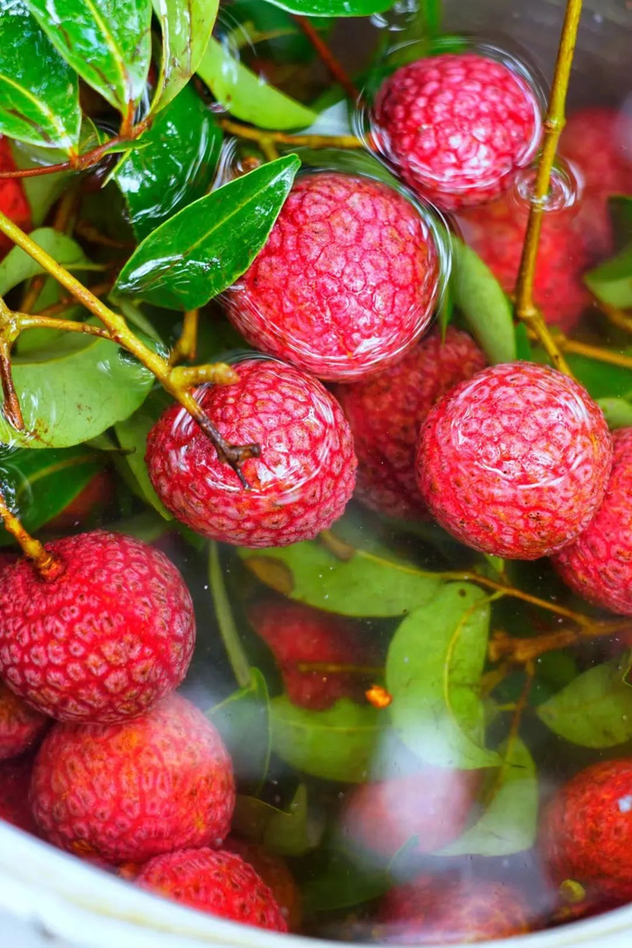 中国最被低估的荔枝大省,守护今年荔枝自由!