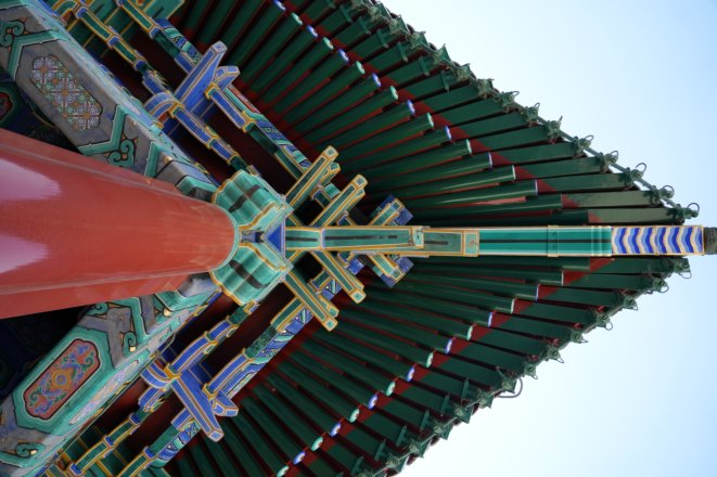 生态环境教育进课堂丨漫步北京中轴线,领略雨燕与生物