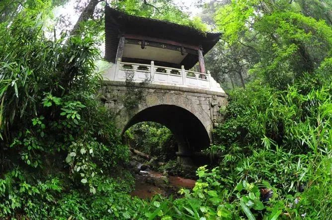 宜丰洞山这里以山岳森林,动植物为特色,体验原生态,感受大自然的神秘