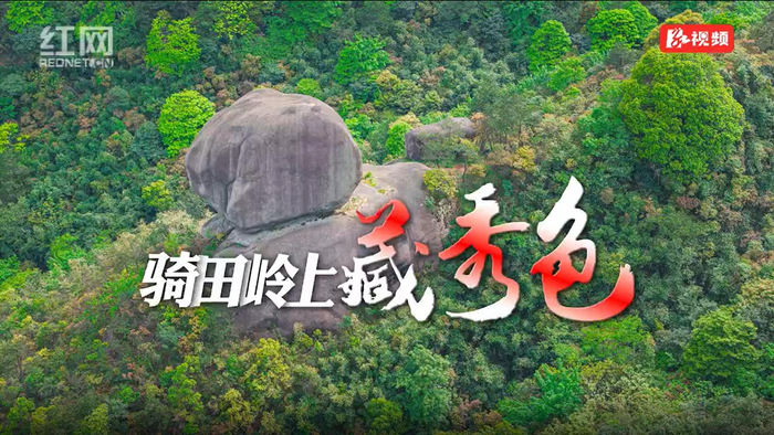 视频 | 宜章:骑田岭上藏秀色