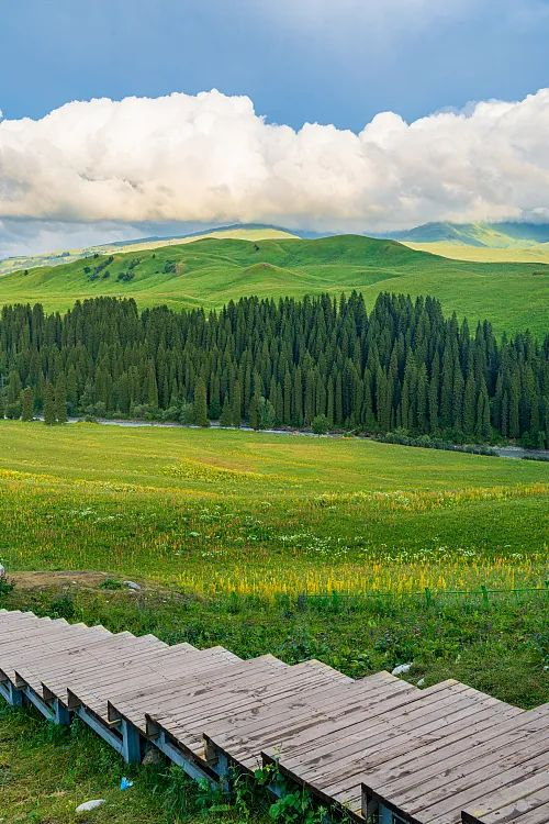 唐布拉草原|公路|南疆_新浪新闻