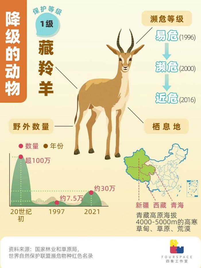 珍稀动物的具体资料图片