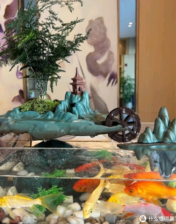 风水鱼缸办公室一景