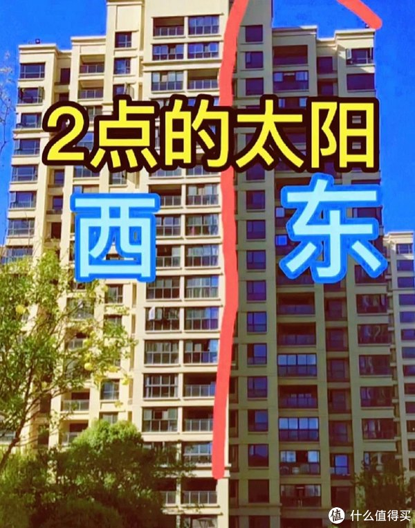 日照充足,室内明亮干燥,不潮湿不发霉,植物生长旺盛.