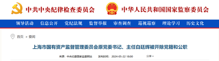 白廷辉被双开|上海市|中央纪委_新浪新闻