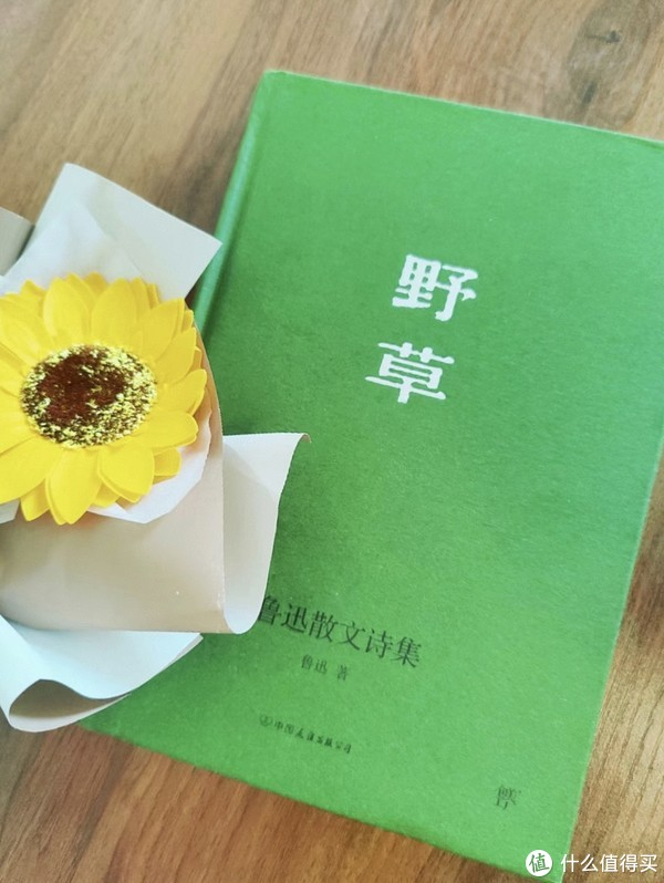 一本不错的书 值得看|野草|鲁迅_新浪新闻