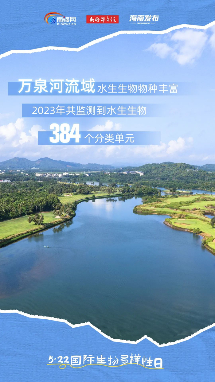 海南生态好不好?这些"朋友"说了算