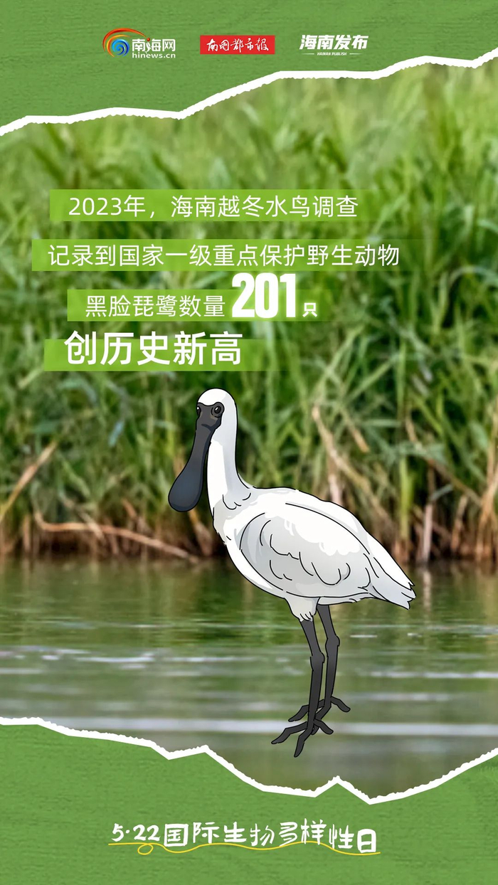 海南生态好不好?这些"朋友"说了算