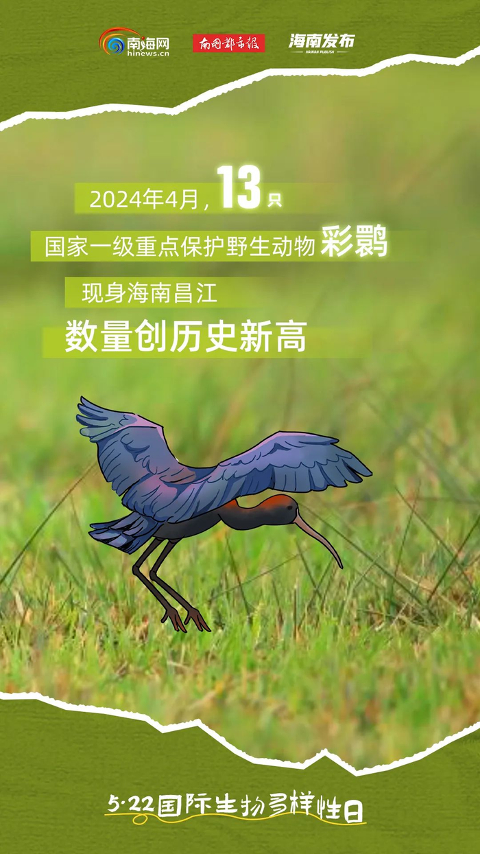 海南生态好不好?这些"朋友"说了算