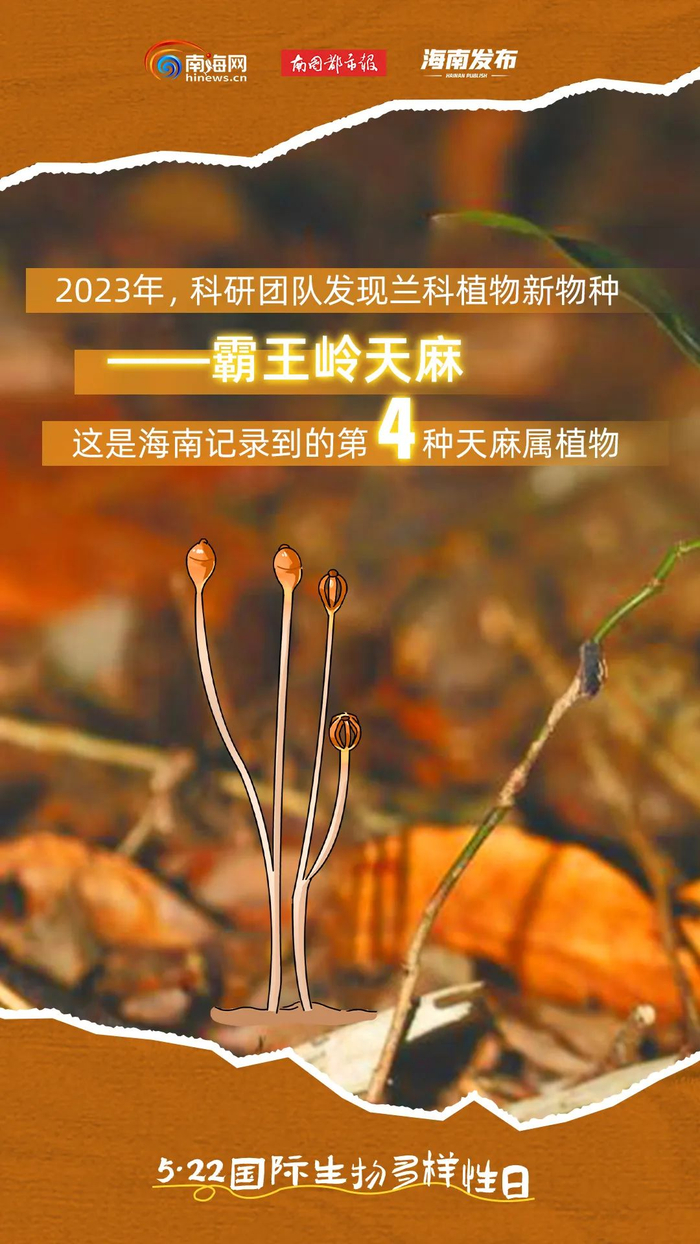 海南生态好不好?这些"朋友"说了算