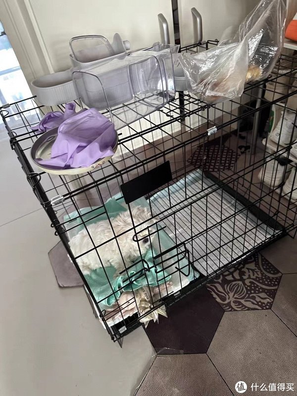 狗笼子小型犬泰迪室内猫笼带厕所中型犬柯基比熊家用大型宠物狗窝