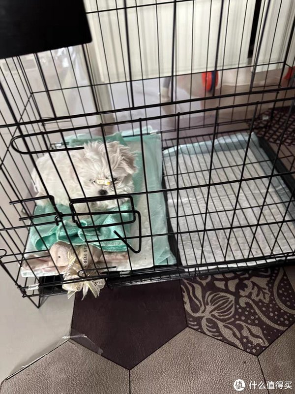 狗笼子小型犬泰迪室内猫笼带厕所中型犬柯基比熊家用大型宠物狗窝