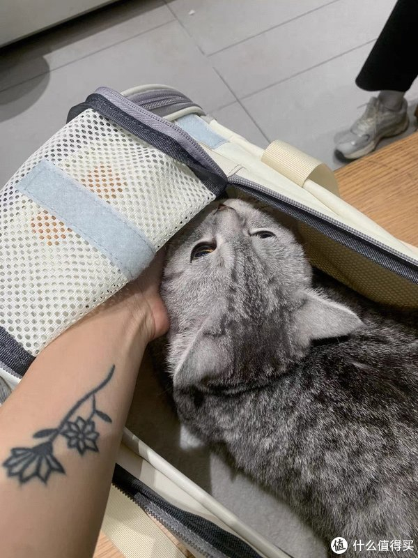 猫包外出便携手提式夏天透气猫咪出行大容量猫袋斜挎携带宠物背包