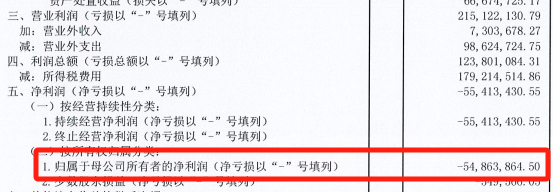 图源：步步高集团公告