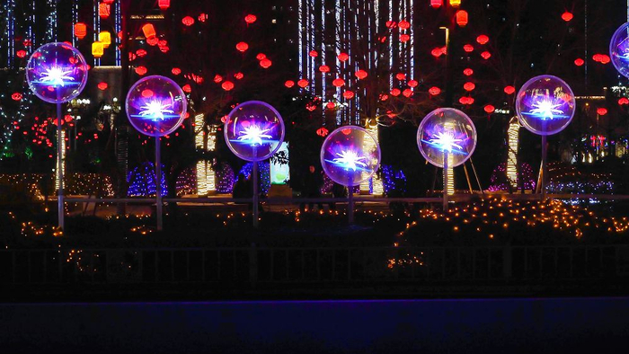 （受访者供图）