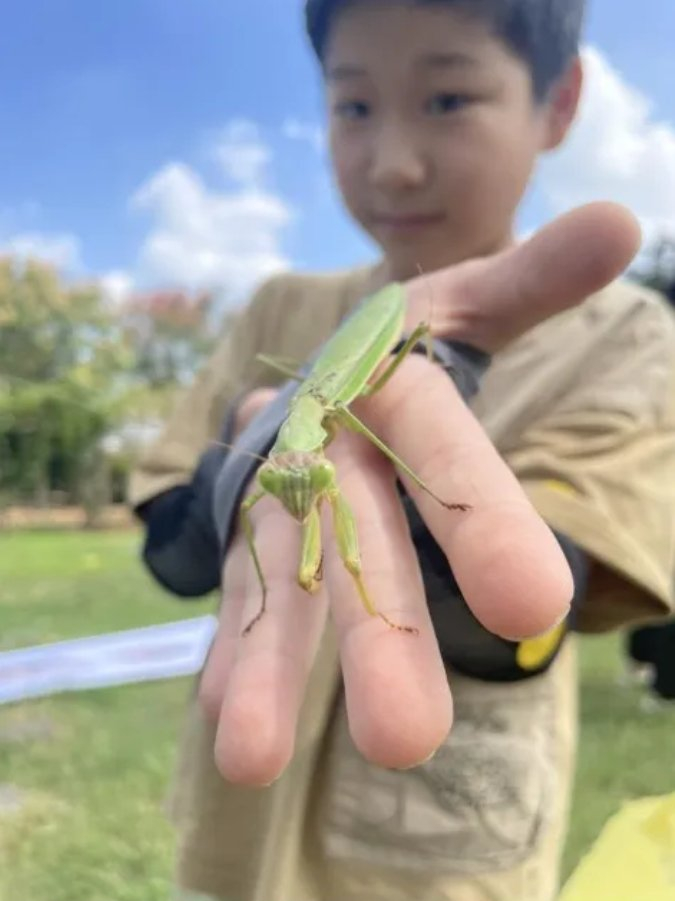 一年级时看到的一部是从小时候蹲在地上观察蚂蚁开始的他对昆虫的关注