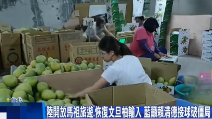 岛内媒体报道截图