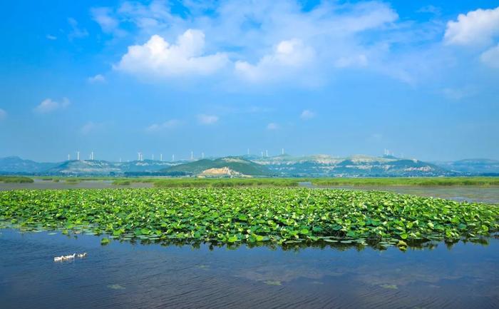 东平湖旅游景点图片