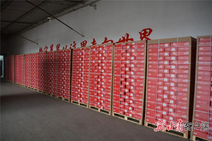 走向美国市场的静宁苹果。