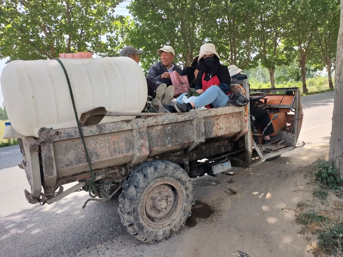 东海交警:农用车违法载人"驶"不得!