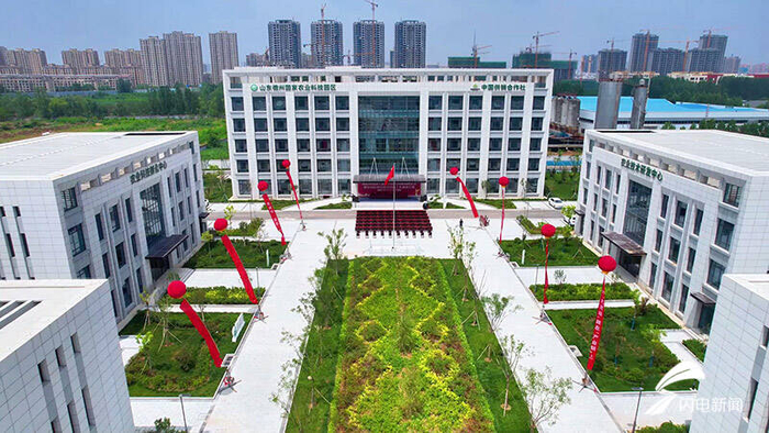 乐陵:小院新农人 青春新作为