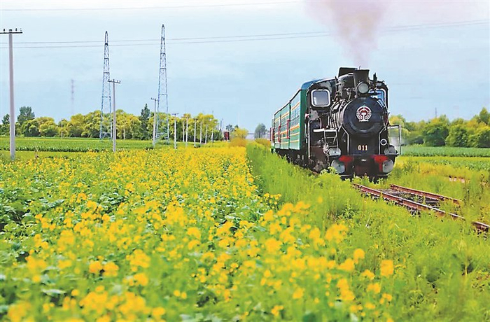 森林小火车.定格难忘瞬间.