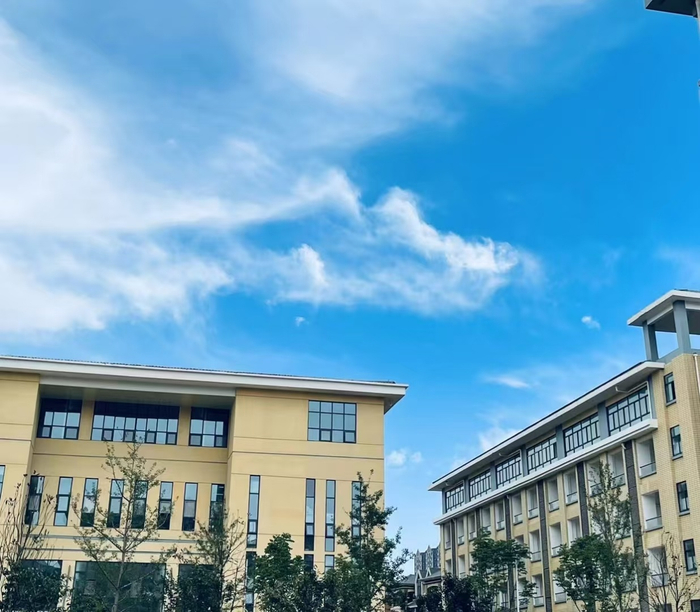 郑州尚美中学:以"画"为马 助艺考生奔向顶尖艺术殿堂