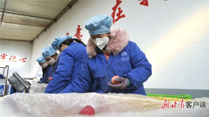 员工们正在冷库里加班装箱准备出口国外的苹果。