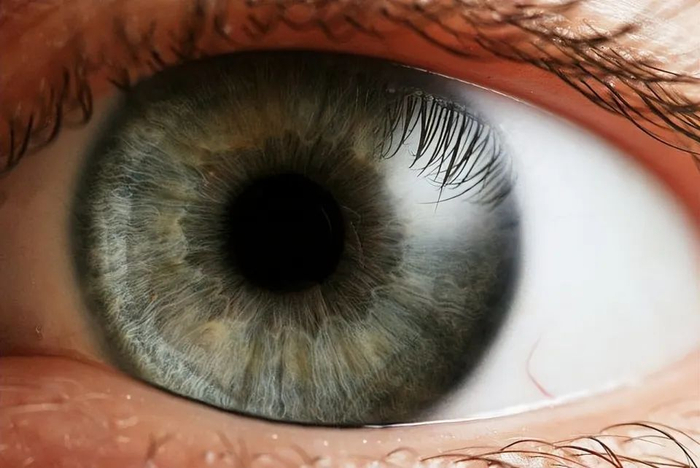 盲人会看到什么,是完全的黑暗,还是一片虚无?看看盲人怎么说