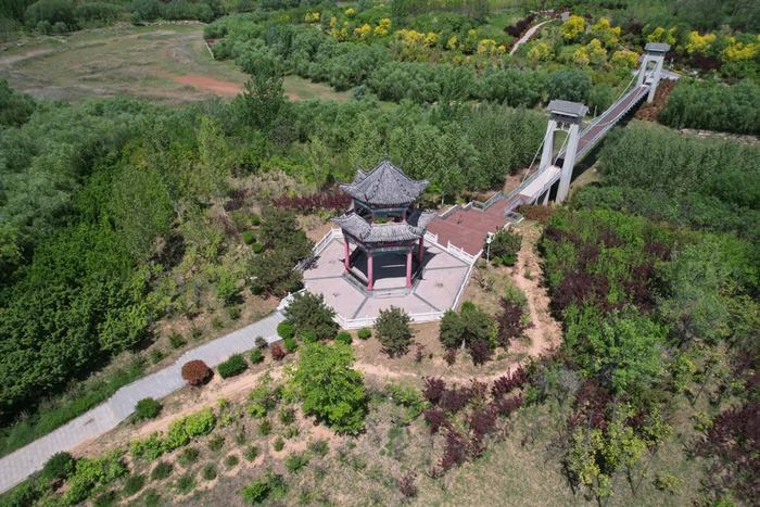 栈桥流水,林荫漫步,郑州这座宝藏公园有多"野"?