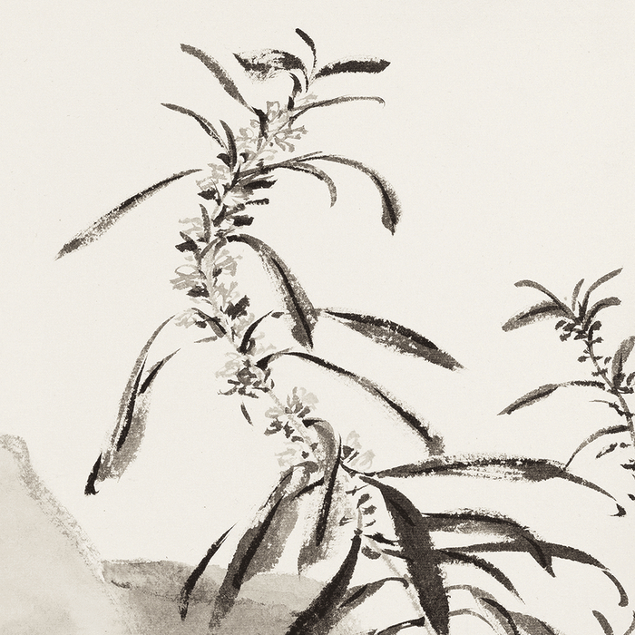 阴澍雨写生新作 | 野芳自在|画家|河北省_新浪新闻